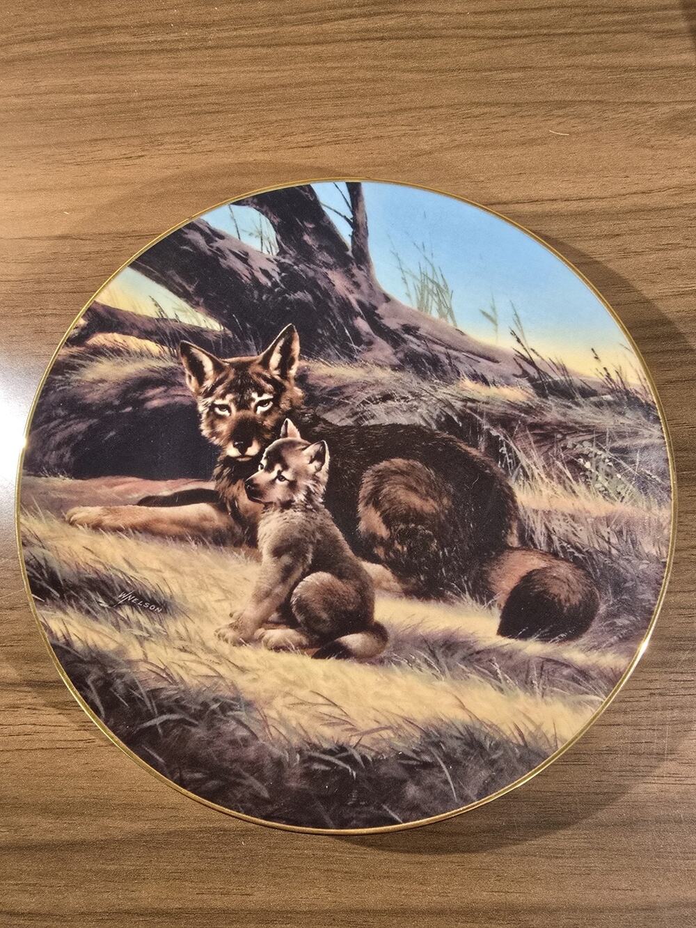 The Red Wolf Will Nelson Collectible Plate WS George Bradford EX